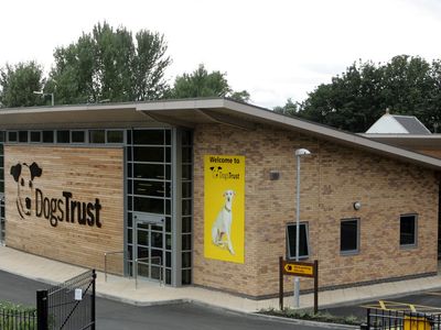 Dogs trust store centres near me